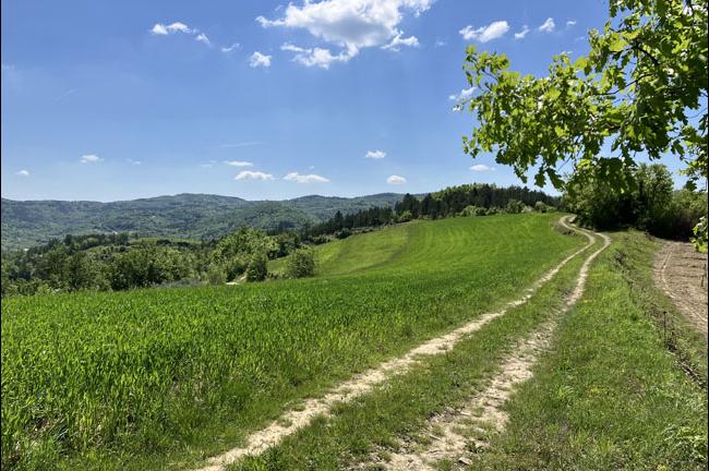 Slika