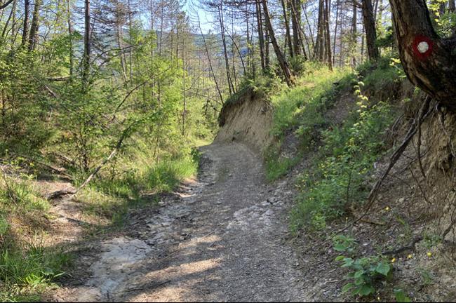 Slika