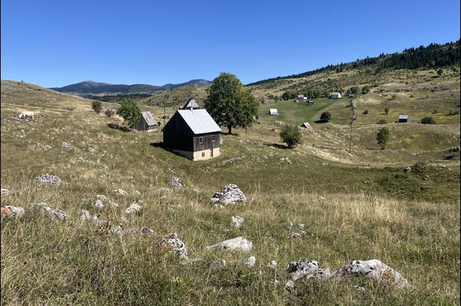 Slika
