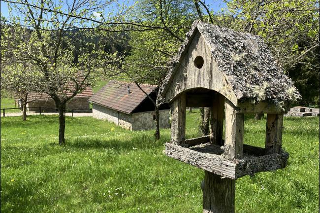 Slika