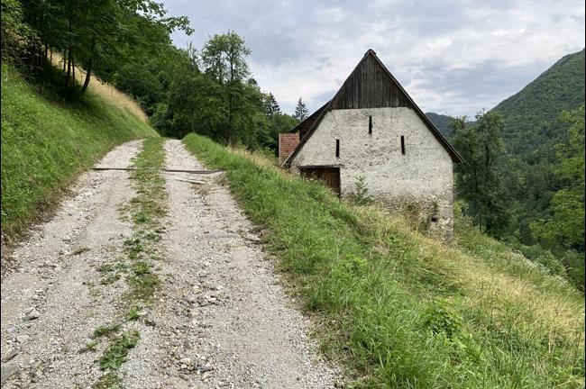 Slika