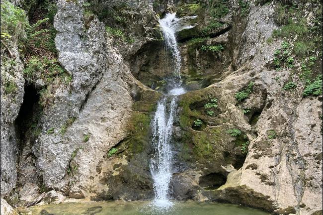 Slika
