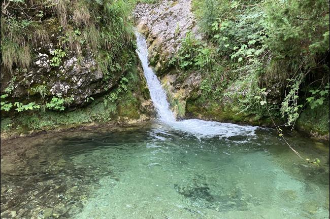 Slika