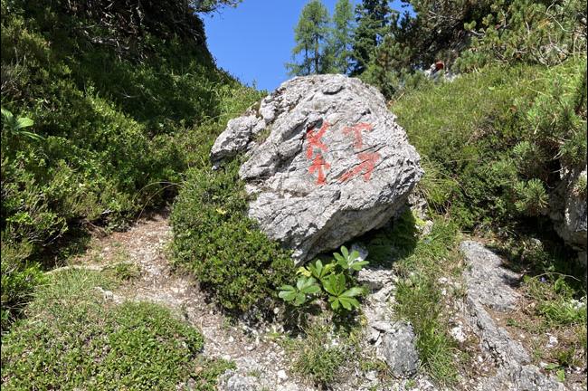 Slika