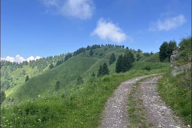 Slika