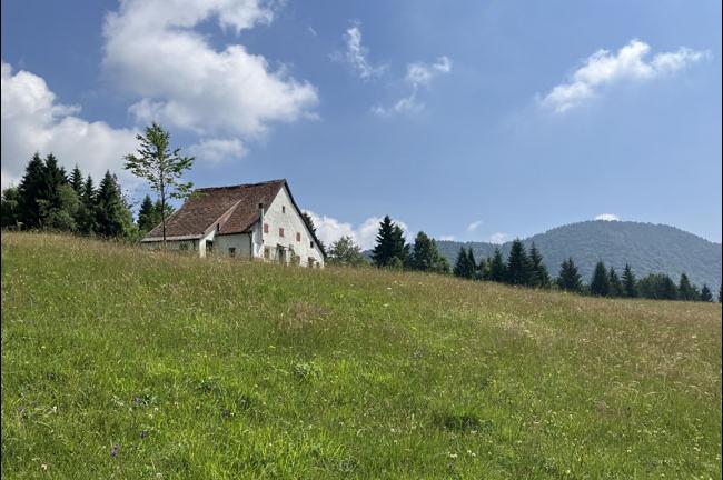 Slika