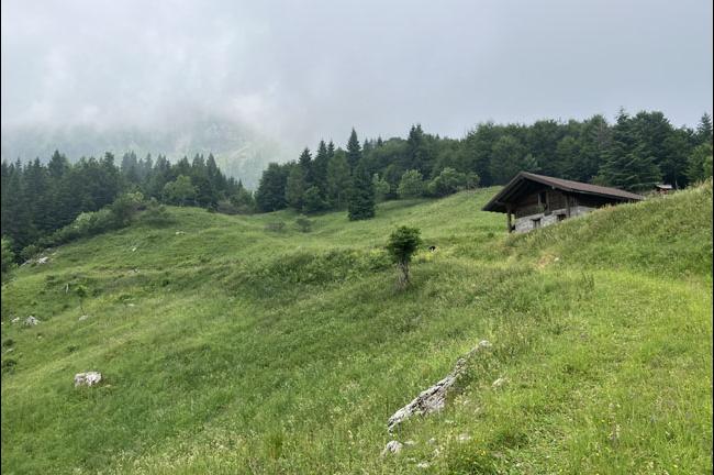 Slika