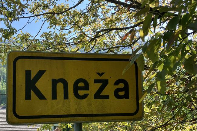 Slika